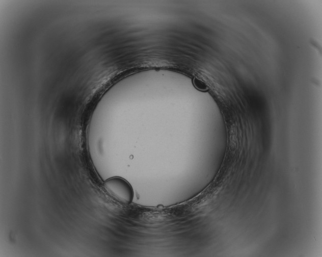 X0000091660351200709131514