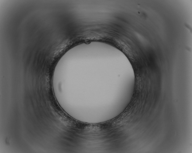 X0000091660354200709131514