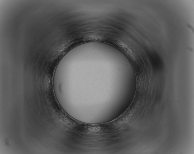 X0000091660355200709131514