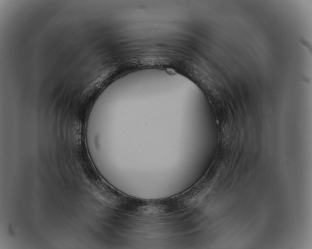 X0000091660356200709131514