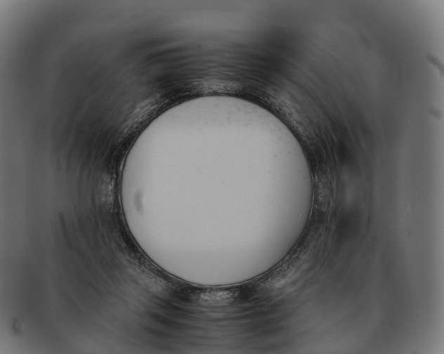 X0000091660357200709131514