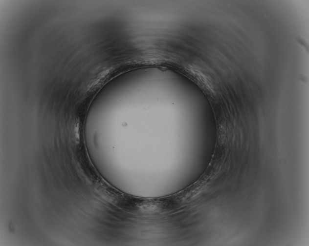 X0000091660358200709131514