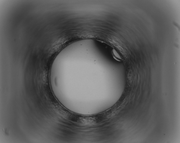 X0000091660359200709131514