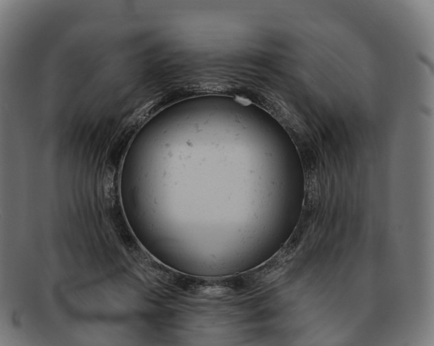 X0000091660360200709131514