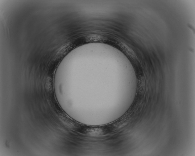 X0000091660361200709131514