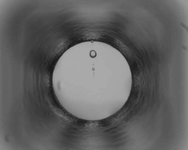 X0000091660362200709131514