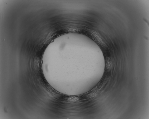 X0000091660363200709131514