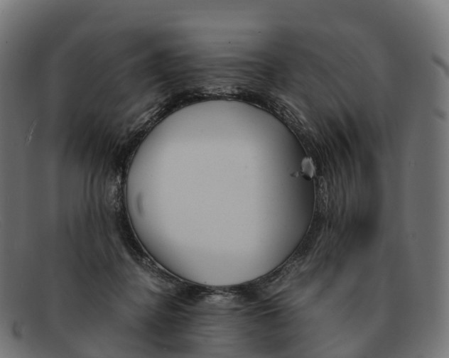 X0000091660364200709131514