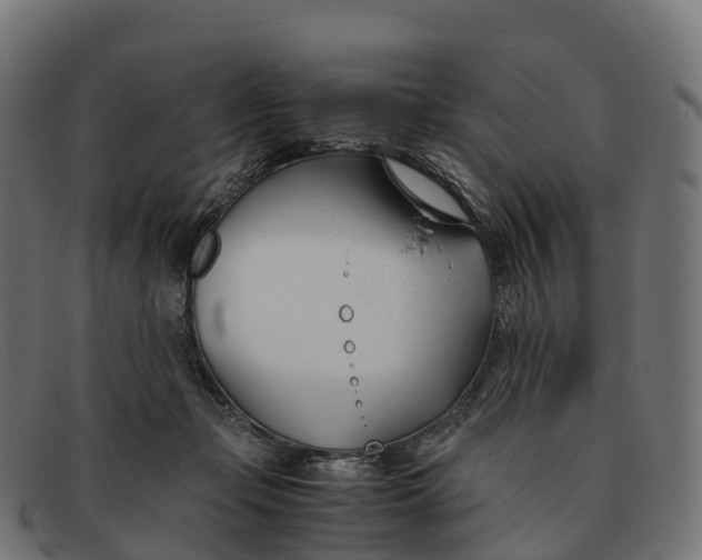 X0000091660365200709131514