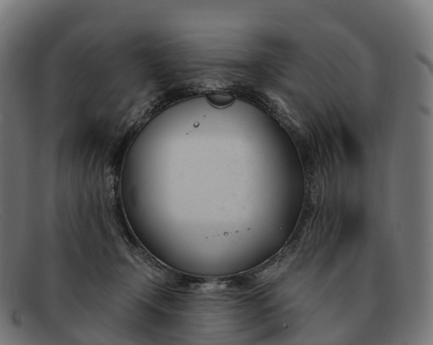 X0000091660366200709131514