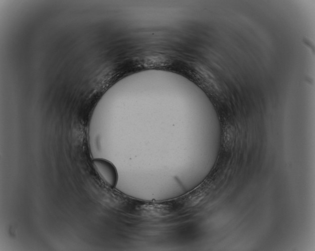 X0000091660367200709131514