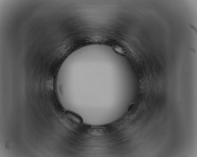 X0000091660368200709131514