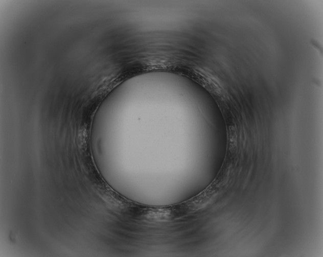 X0000091660369200709131514