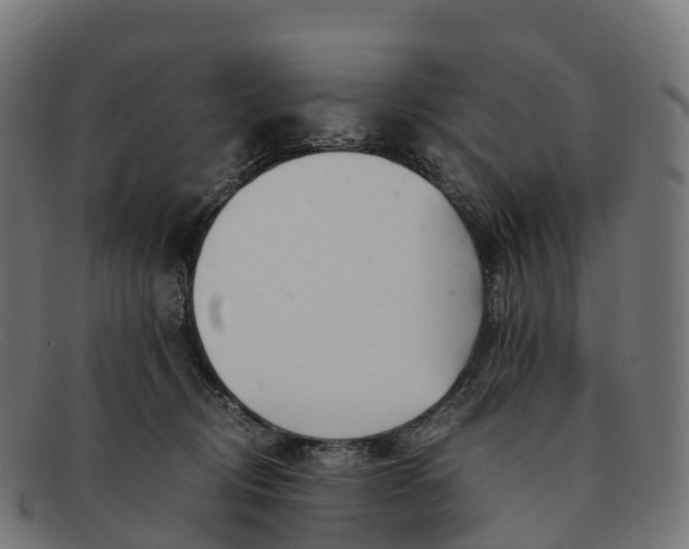 X0000091660370200709131514