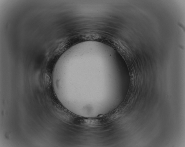 X0000091660371200709131514