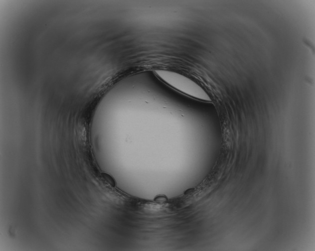 X0000091660375200709131514