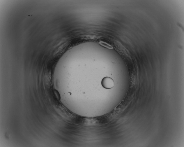 X0000091660376200709131514