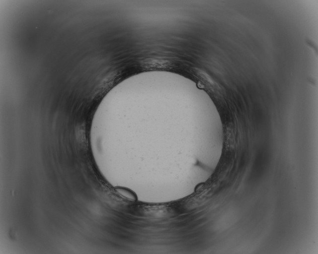 X0000091660377200709131514