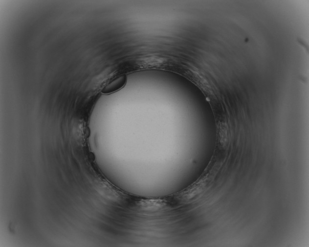 X0000091660378200709131514