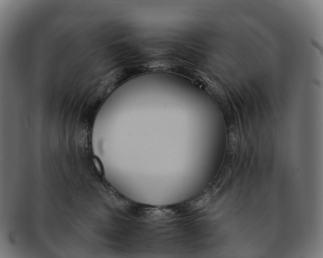 X0000091660379200709131514