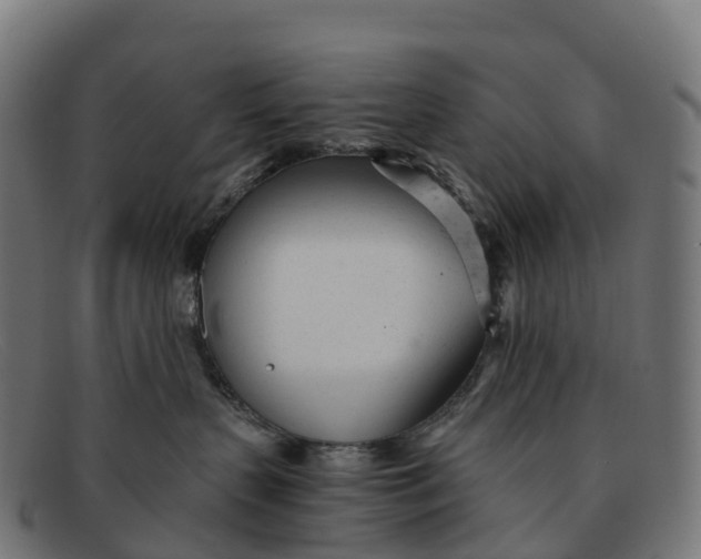 X0000091660383200709131514