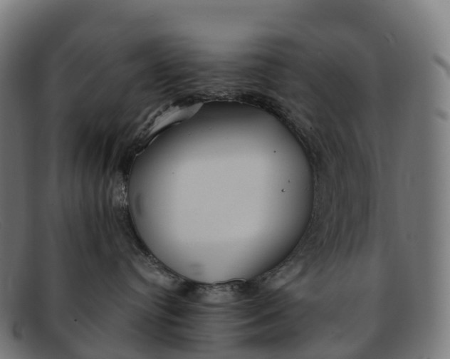 X0000091660384200709131514