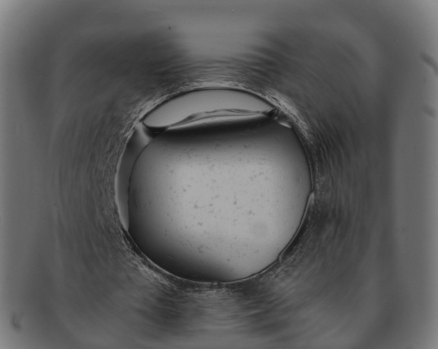 X0000091660385200709131514