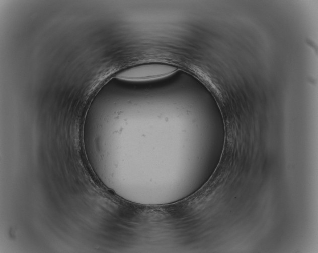 X0000091660386200709131514