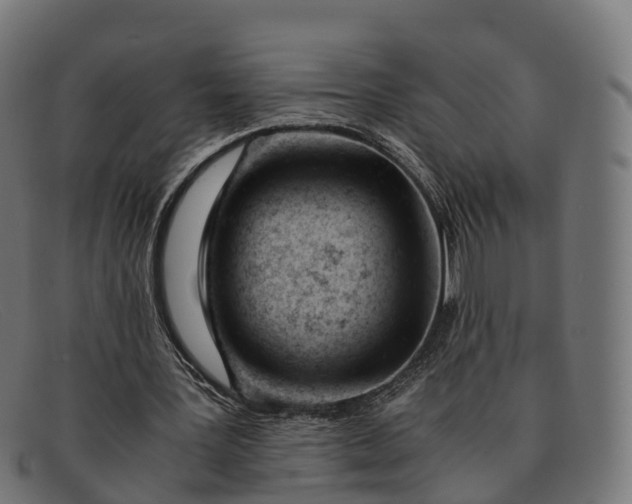 X0000091660387200709131514