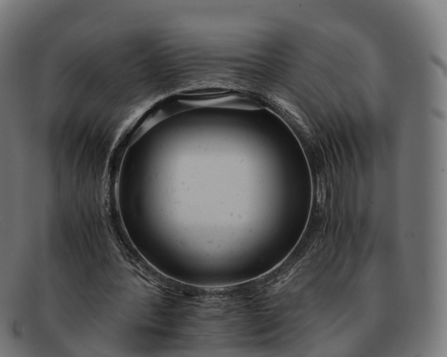 X0000091660388200709131514