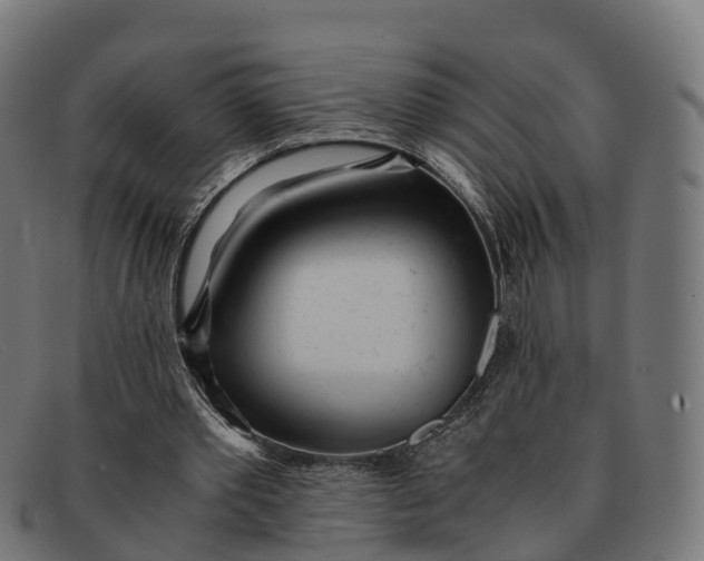 X0000091660389200709131514