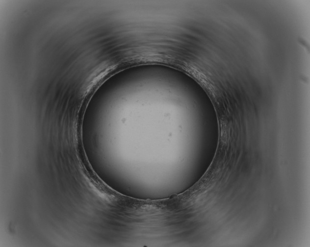 X0000091660390200709131514