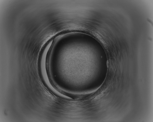 X0000091660391200709131514