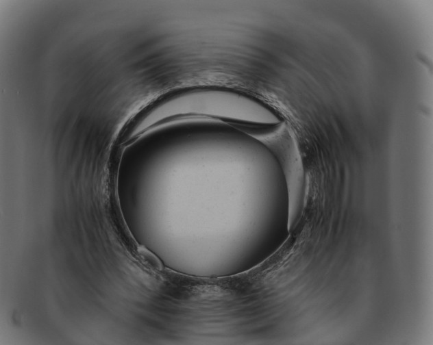 X0000091660392200709131514