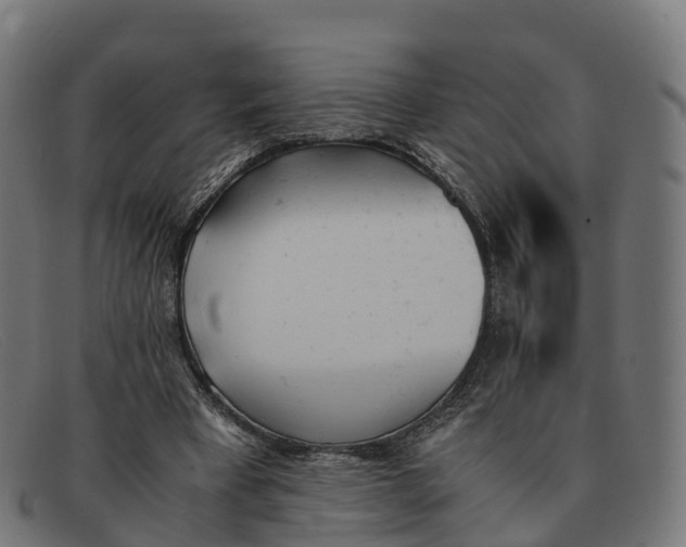 X0000091660393200709131514