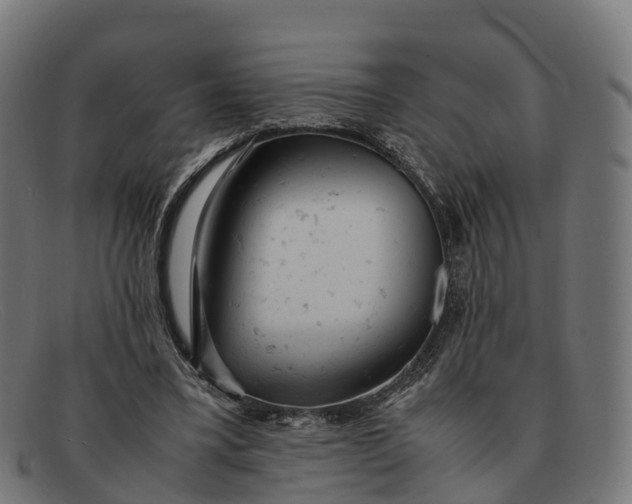 X0000091660395200709131514