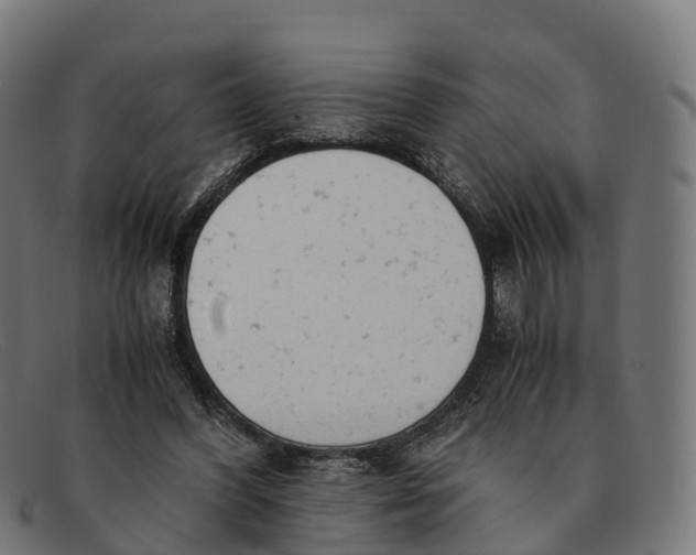 X0000091660396200709131514