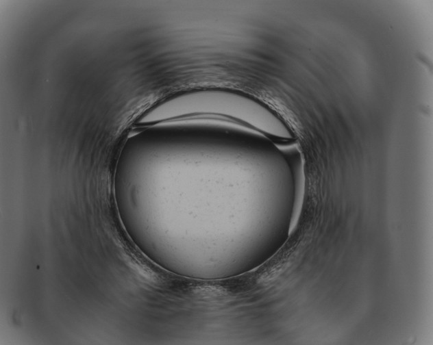 X0000091660397200709131514