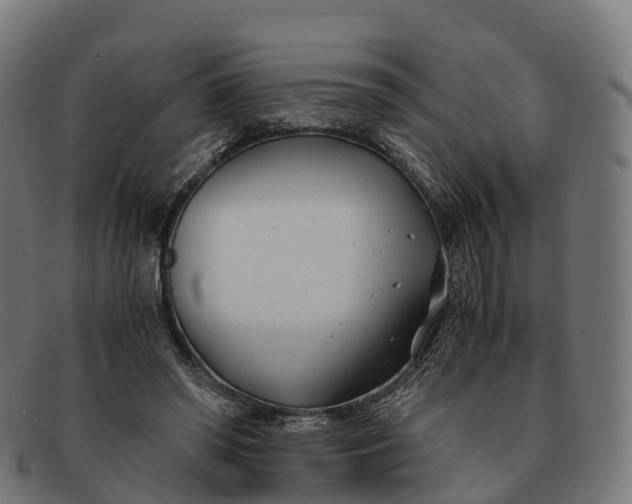 X0000091660398200709131514