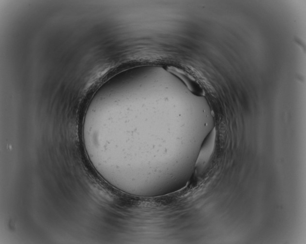 X0000091660399200709131514