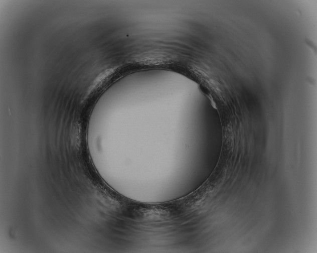 X0000091660400200709131514