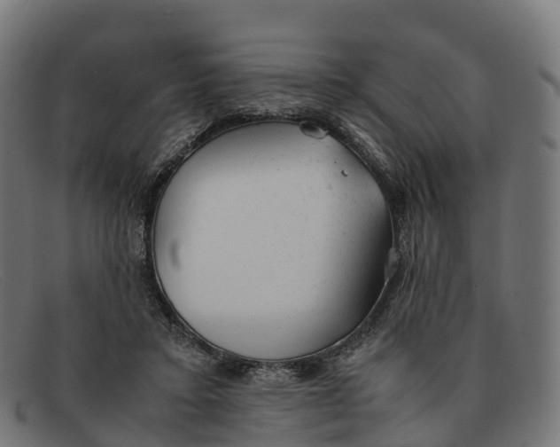 X0000091660403200709131514