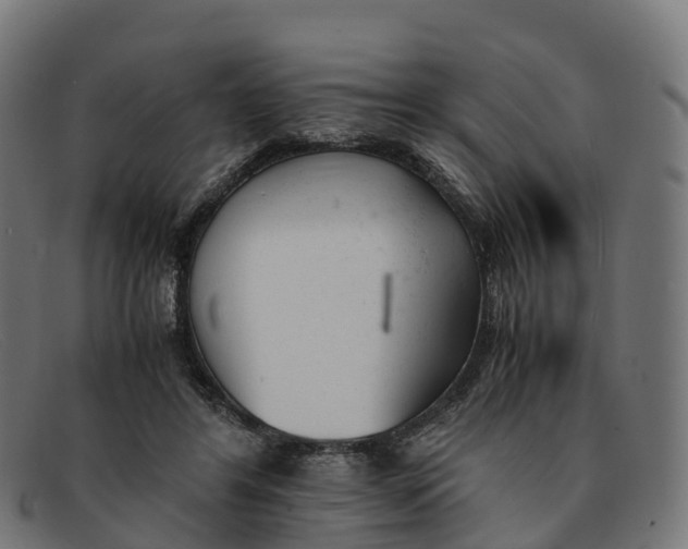 X0000091660404200709131514