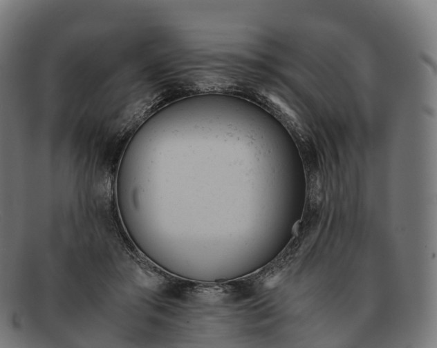 X0000091660405200709131513