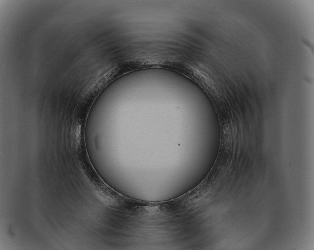 X0000091660406200709131513