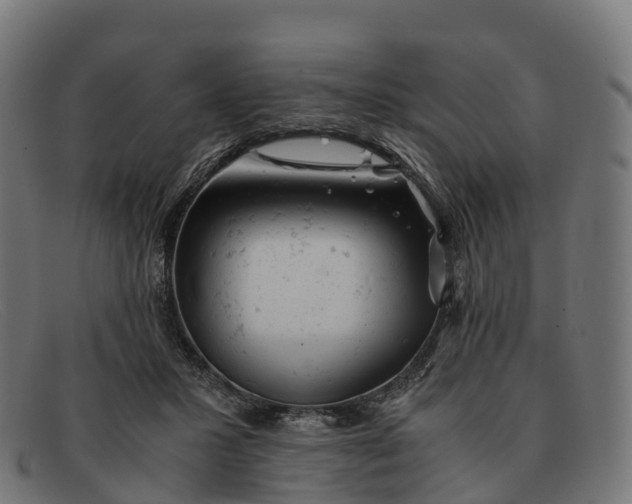 X0000091660407200709131513