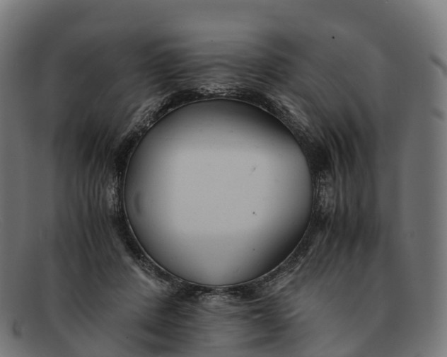 X0000091660408200709131513