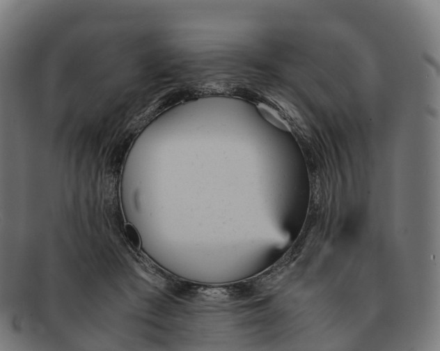 X0000091660409200709131513