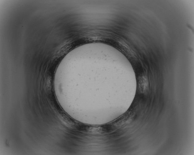 X0000091660410200709131513