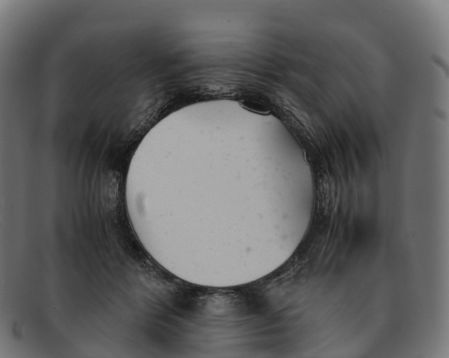 X0000091660412200709131513